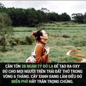 Nguyễn Thị Dung