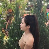 Thùy Diễm